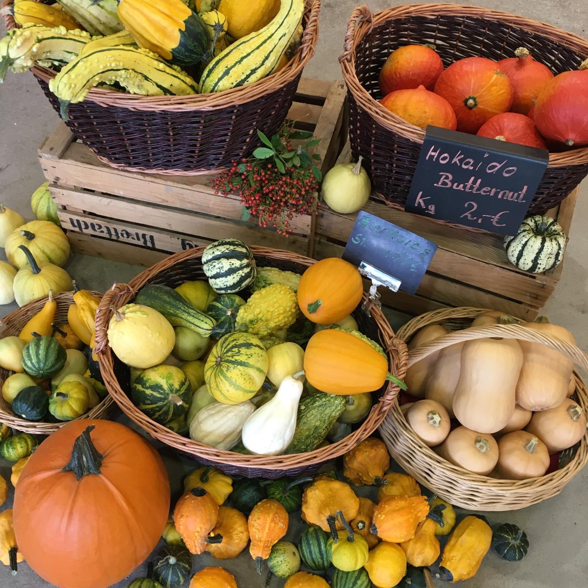 Galerie brettacher.de